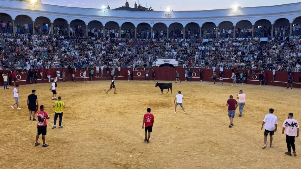Ferias de agosto en el Campo de Gibraltar: San Roque y Jimena 1 toro aguardiente